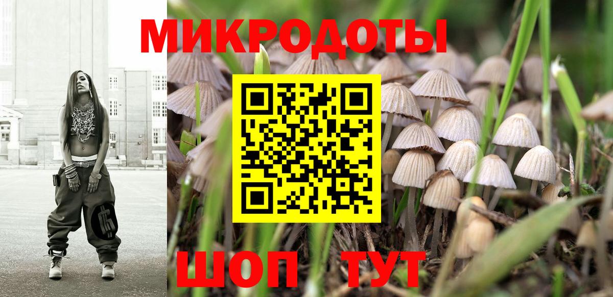 Родники  купить наркотики цена  Вход с VPN  Псилоцибиновые грибы мухоморы  Псилоцибиновые грибы мицелий 